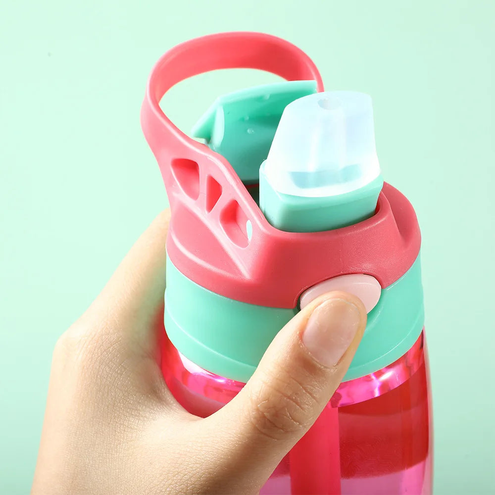 480ml Water Bottle with Straw and Grip