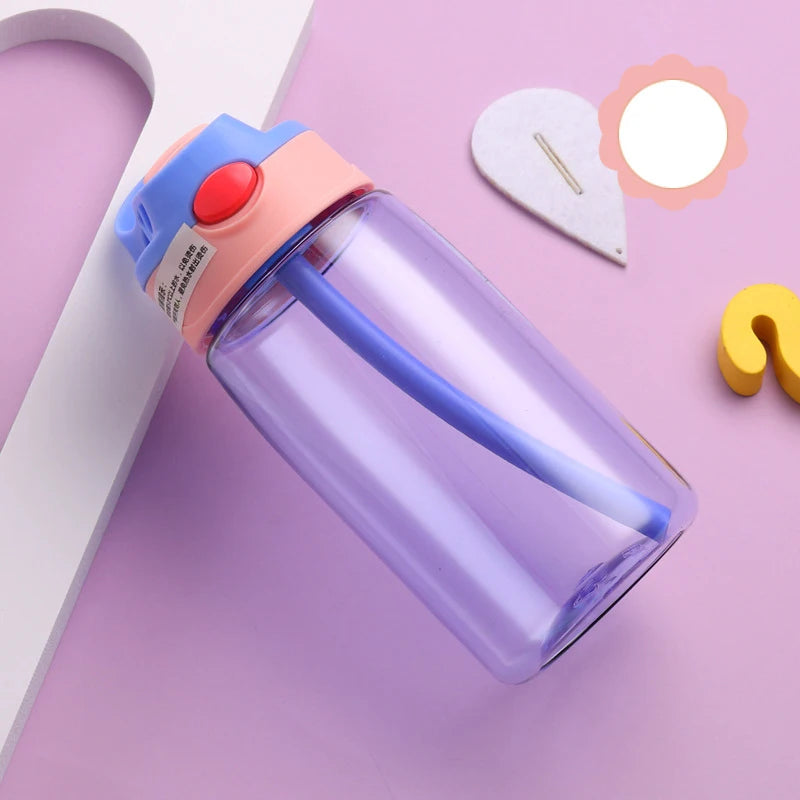 480ml Water Bottle with Straw and Grip